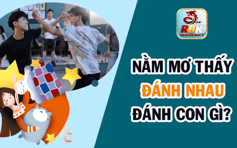 Mơ Thấy Đánh Nhau Đánh Con Gì? Điềm Tốt Hay Xấu 